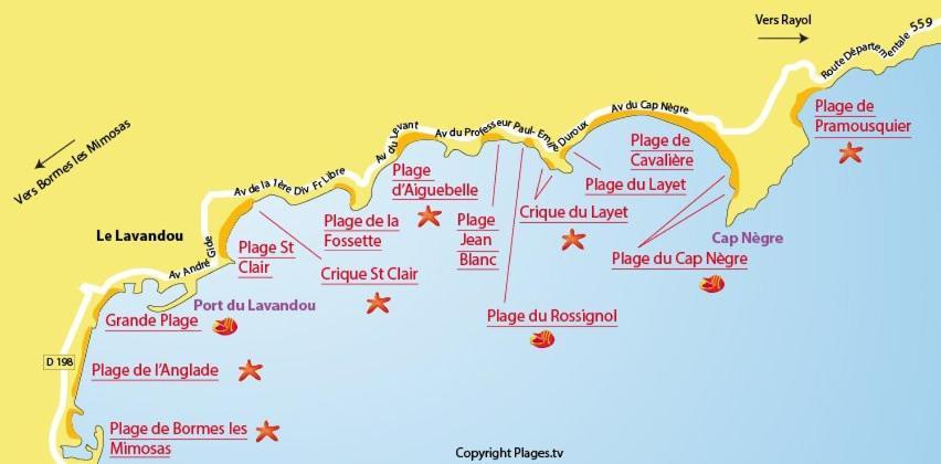Mazet De La Mer 54M2 Lavandou 100M Plage Avec Piscine เลอลาวองดูว์ ภายนอก รูปภาพ